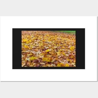 Fallen yellow and orange leaves in the forest Posters and Art